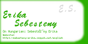 erika sebesteny business card